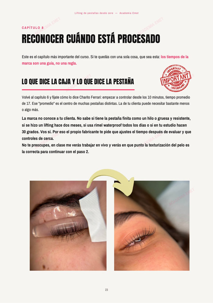 Página del workbook Lifting desde cero
